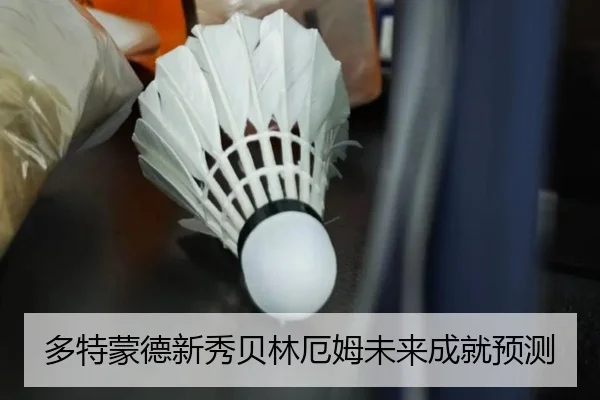 多特蒙德新秀贝林厄姆未来成就预测
